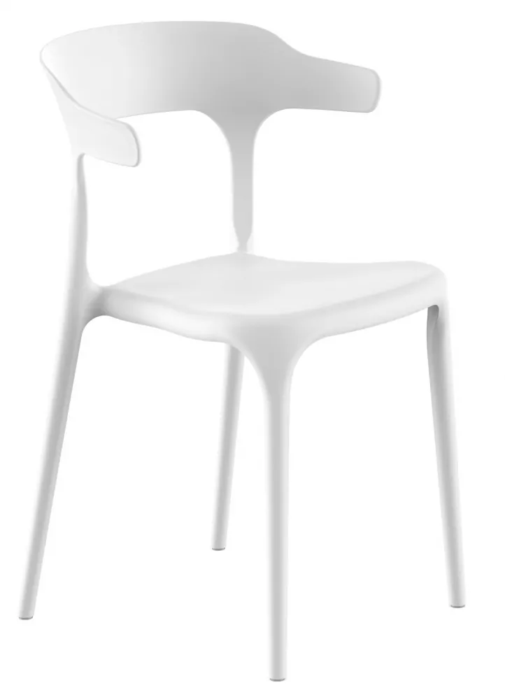     -, 